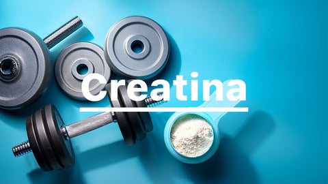 ¿La creatina causa caída del cabello? Detrás del debate