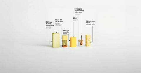 Evidencia clínica y nutricional para un ciclo capilar sano: la ciencia detrás del Tónico Anticaída y la Bomba Nutricional de ILEV Routine ILEV Routine