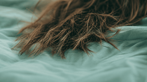 Cómo fortalecer el cabello débil y quebradizo