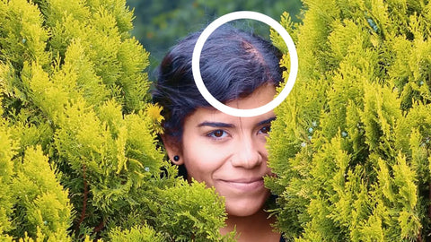 SOP y resistencia a la insulina: El momento en que su cuerpo empezó a responder ILEV Routine