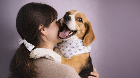 Lo que tu peludo no puede producir (y lo que tu cabello no siempre recibe)