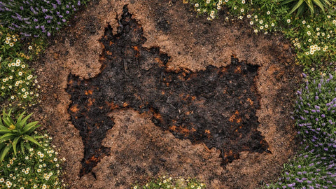 Cuidar la piel cuando hay fuego, humo y estrés: cuidados cotidianos para niños, adultos y abuelos. ILEV Routine