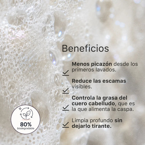 Shampoo Anticaspa en barra · 70 g (XL)