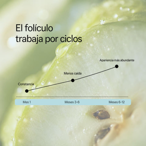 Tónico ANTIcaída y Densidad capilar con Células Madre Vegetales 50 ml